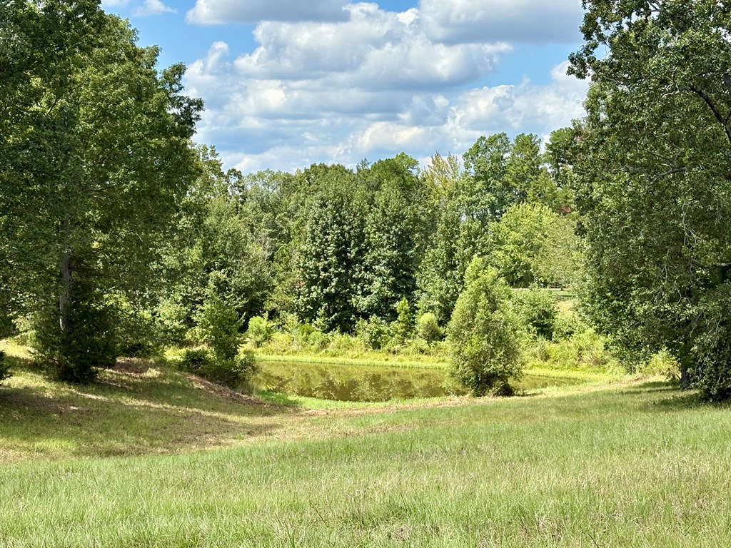 TBD Cr 102 (Old Town Rd)