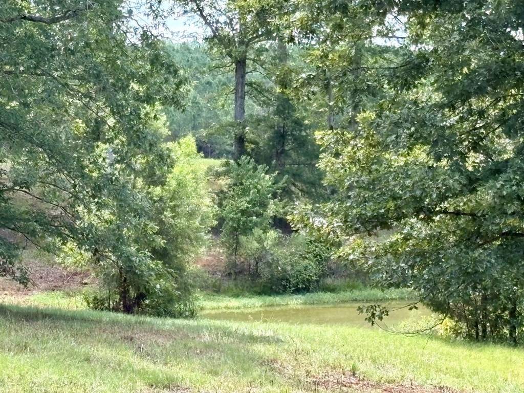 TBD Cr 102 (Old Town Rd)