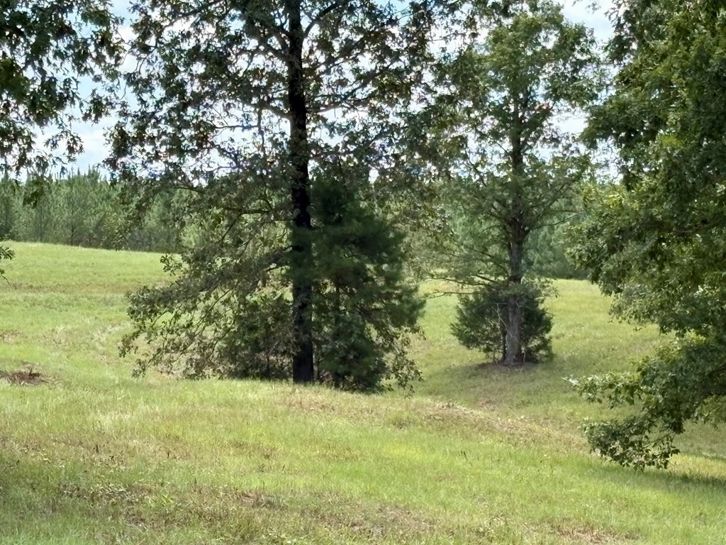 TBD Cr 102 (Old Town Rd)