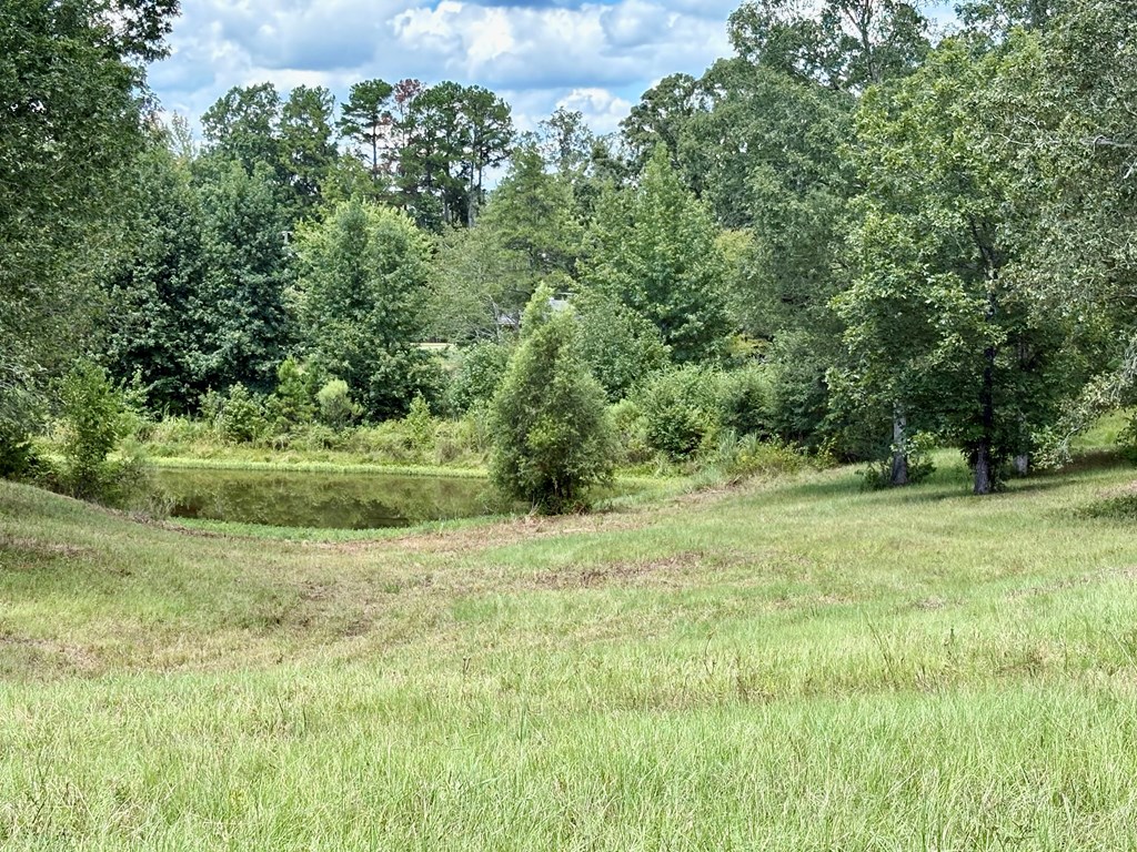 TBD Cr 102 (Old Town Rd)