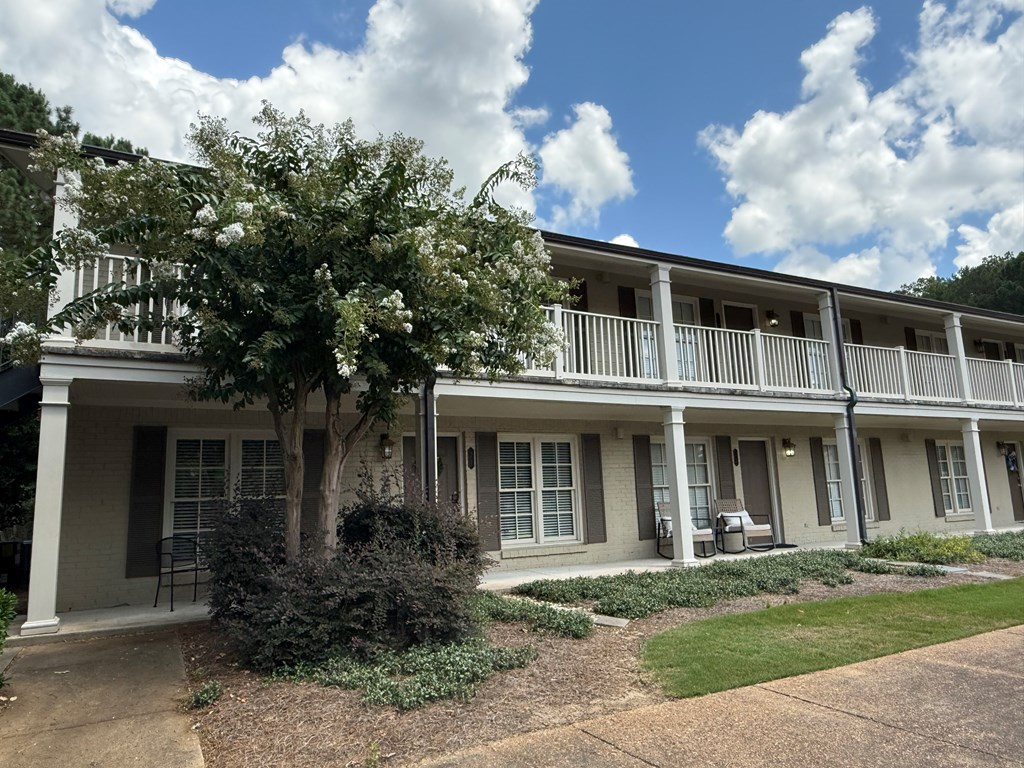119 Chestnut Street #72