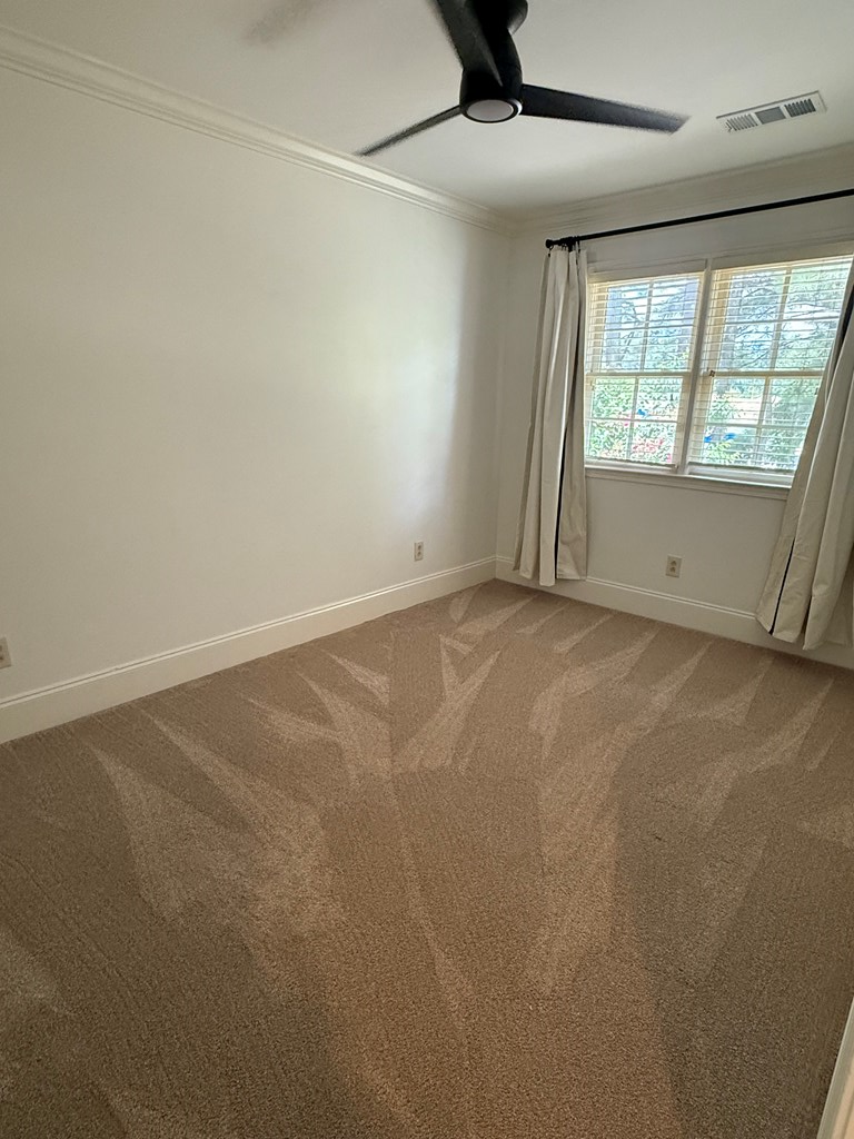 119 Chestnut Street #72