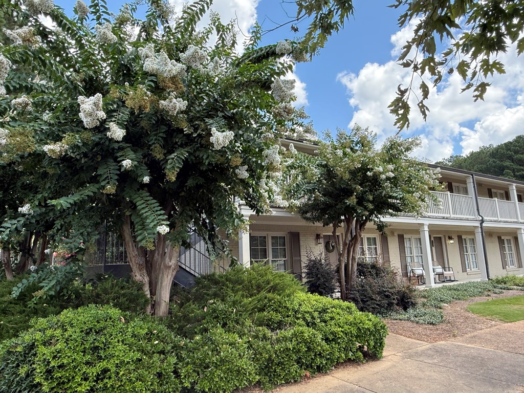 119 Chestnut Street #72