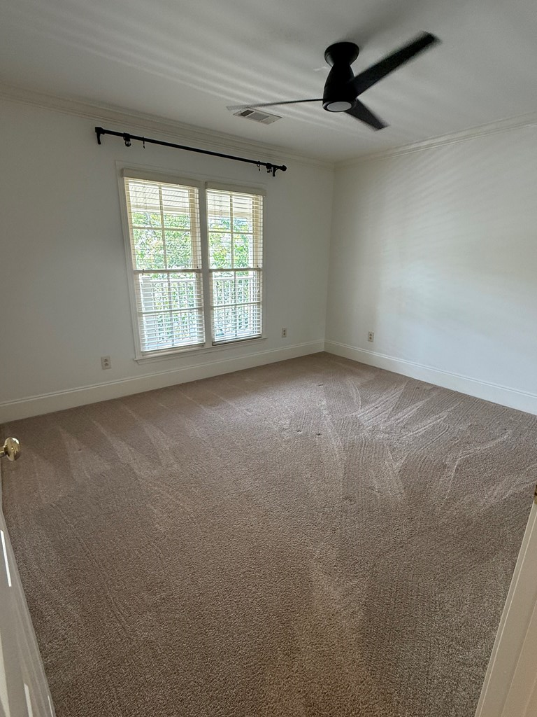 119 Chestnut Street #72