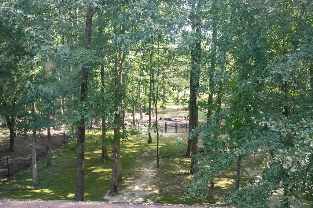 803 Tusscan Ridge