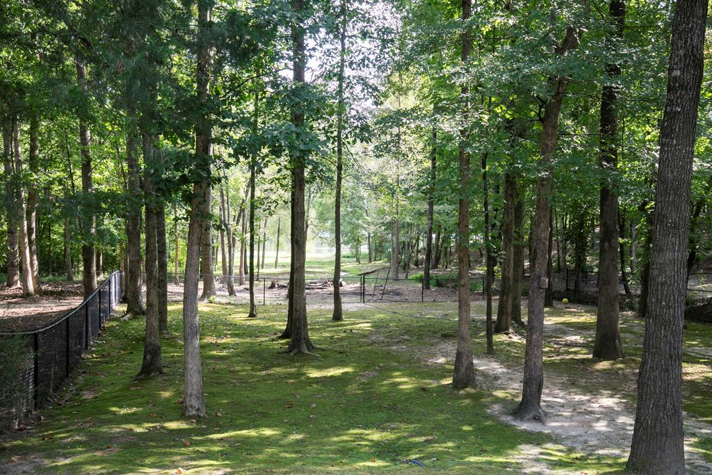 803 Tusscan Ridge