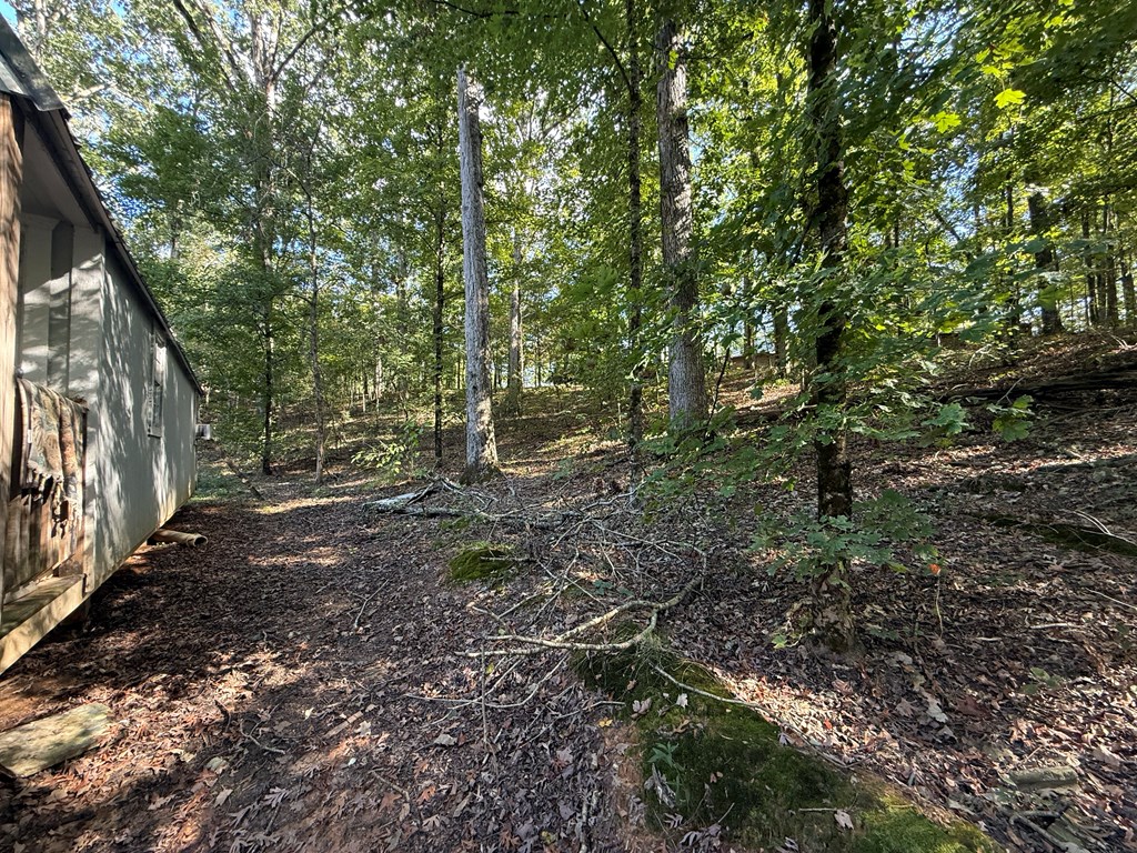 380 Sleepy Creek Lane
