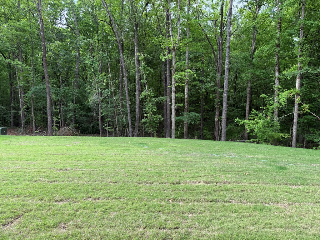 44-B Cr 287