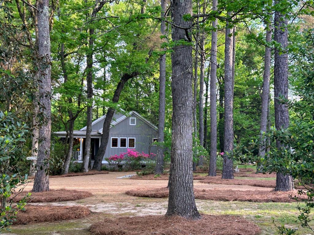 81 County Road 231
