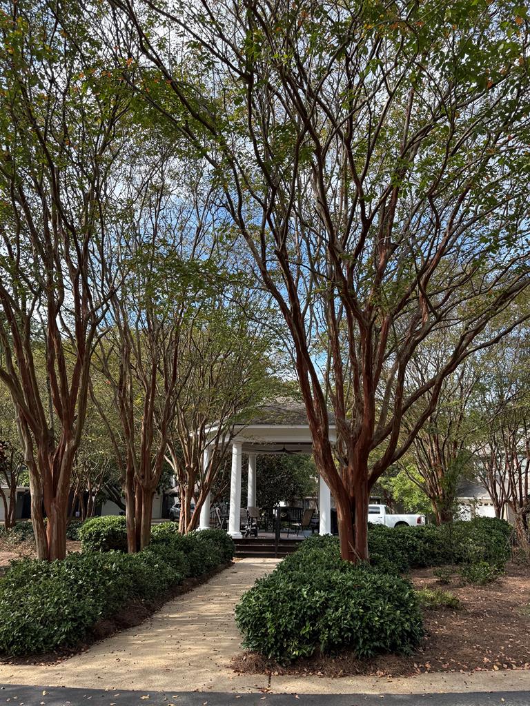 #11 200 Washington Ave