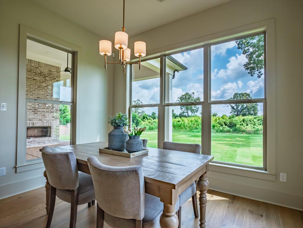 1006 Belle Terre Lane