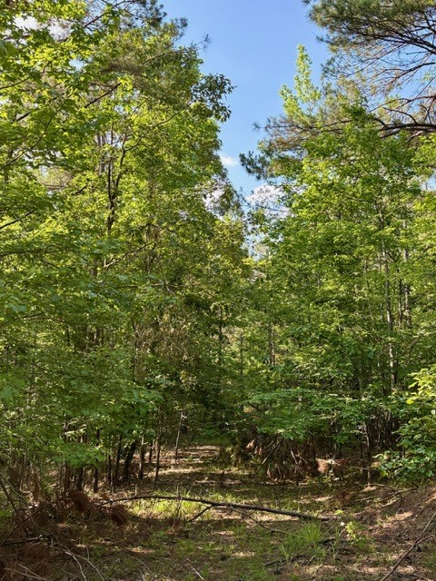 TBD Hwy 328 (Cotton Road)