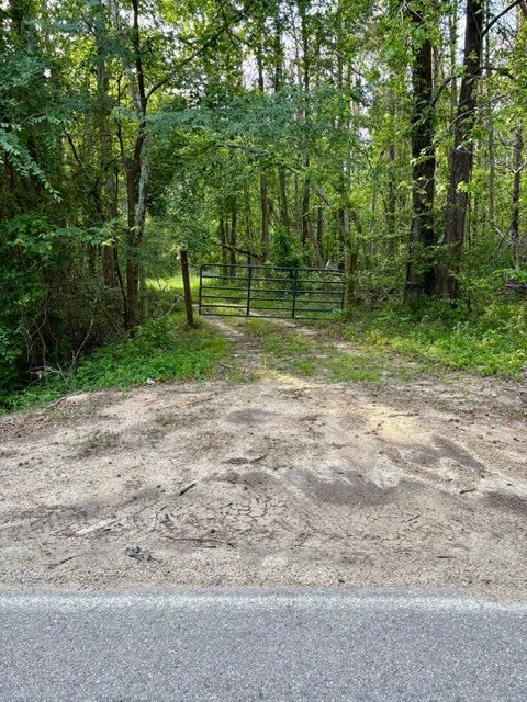 TBD Hwy 328 (Cotton Road)