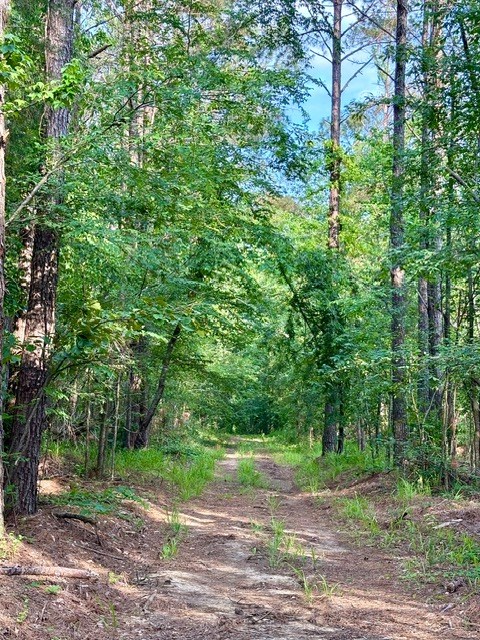 TBD Hwy 328 (Cotton Road)