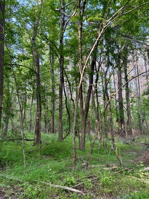 TBD Hwy 328 (Cotton Road)
