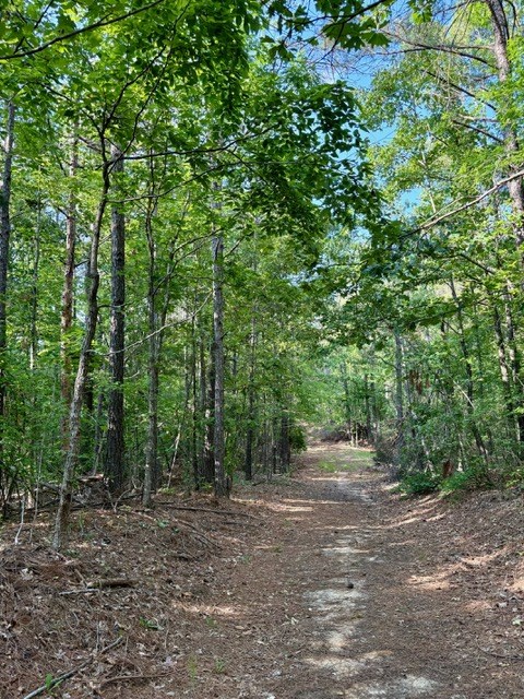 TBD Hwy 328 (Cotton Road)