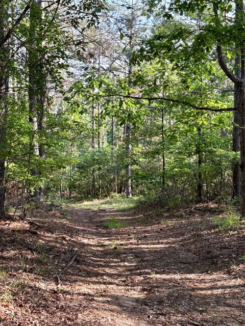 TBD Hwy 328 (Cotton Road)