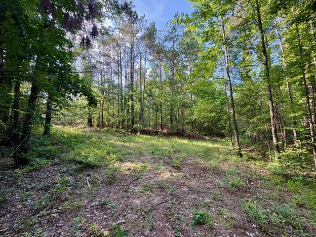 TBD Hwy 328 (Cotton Road)