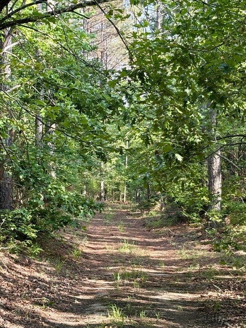 TBD Hwy 328 (Cotton Road)