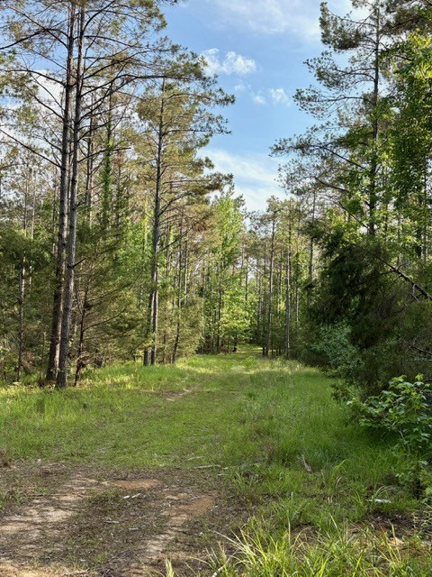 TBD Hwy 328 (Cotton Road)