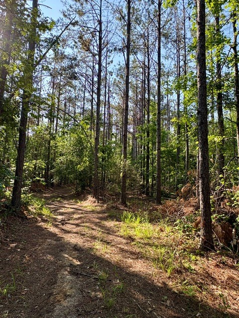 TBD Hwy 328 (Cotton Road)