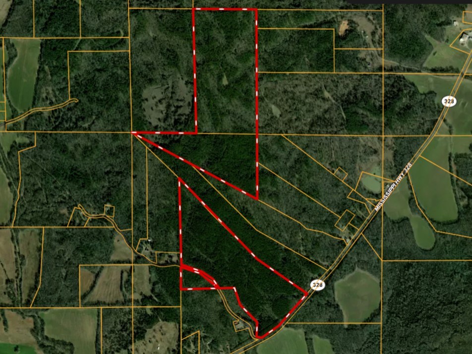 TBD Hwy 328 (Cotton Road)