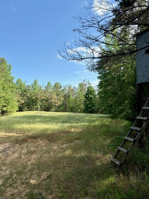 TBD Hwy 328 (Cotton Road)