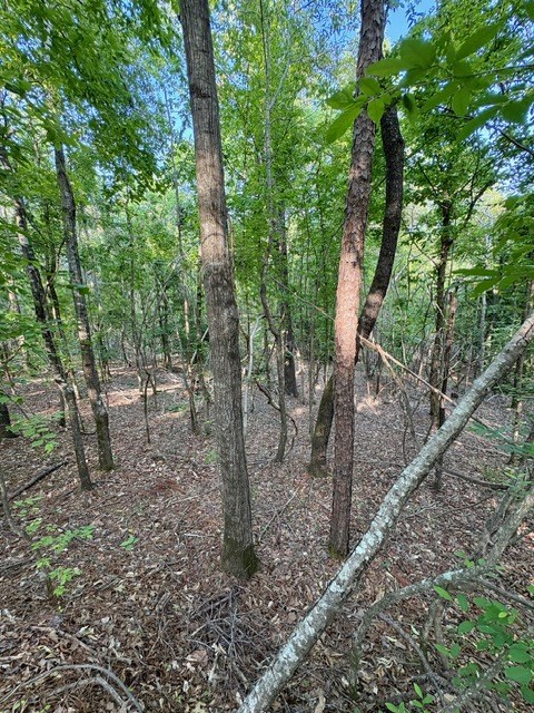 TBD Hwy 328 (Cotton Road)