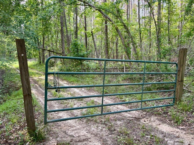 TBD Hwy 328 (Cotton Road)