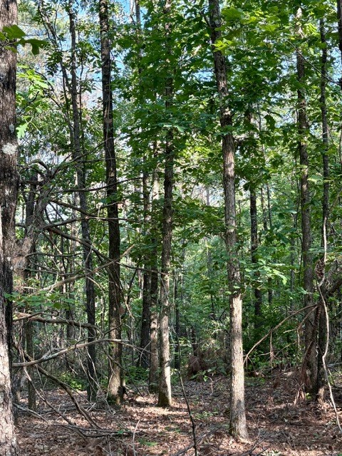 TBD Hwy 328 (Cotton Road)