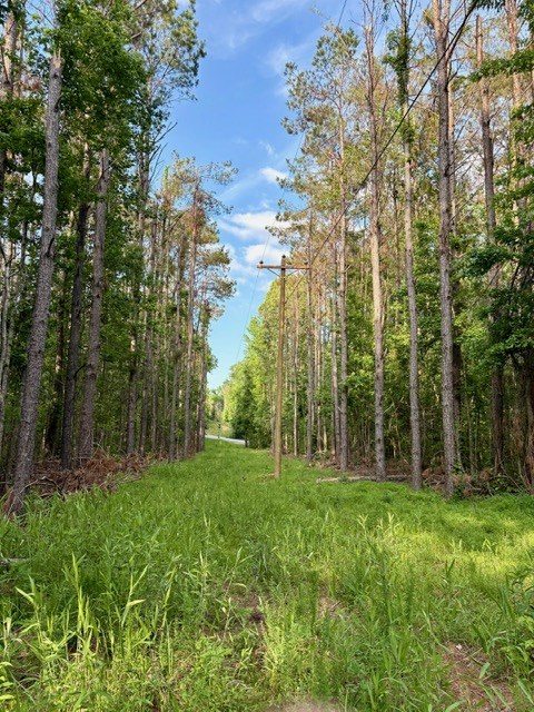 TBD Hwy 328 (Cotton Road)