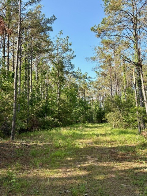 TBD Hwy 328 (Cotton Road)