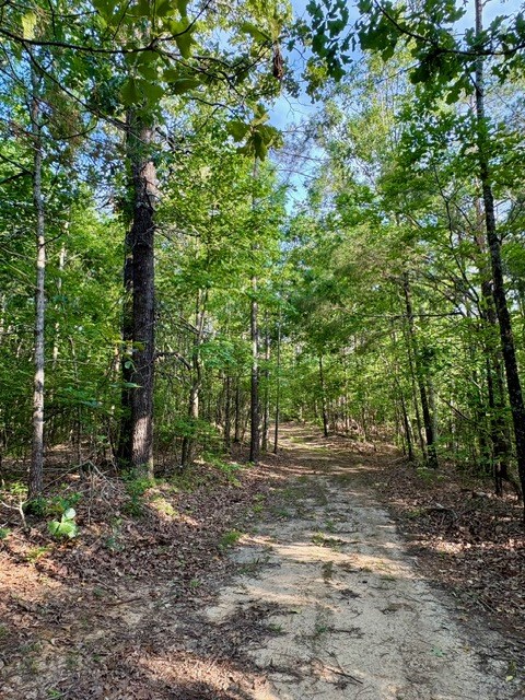 TBD Hwy 328 (Cotton Road)