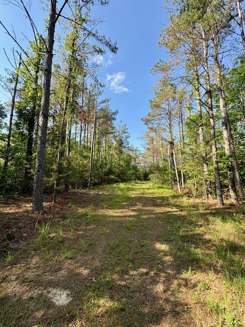 TBD Hwy 328 (Cotton Road)