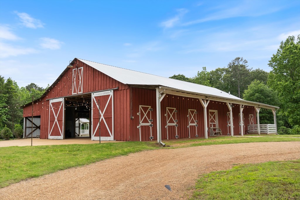 81 County Road 231