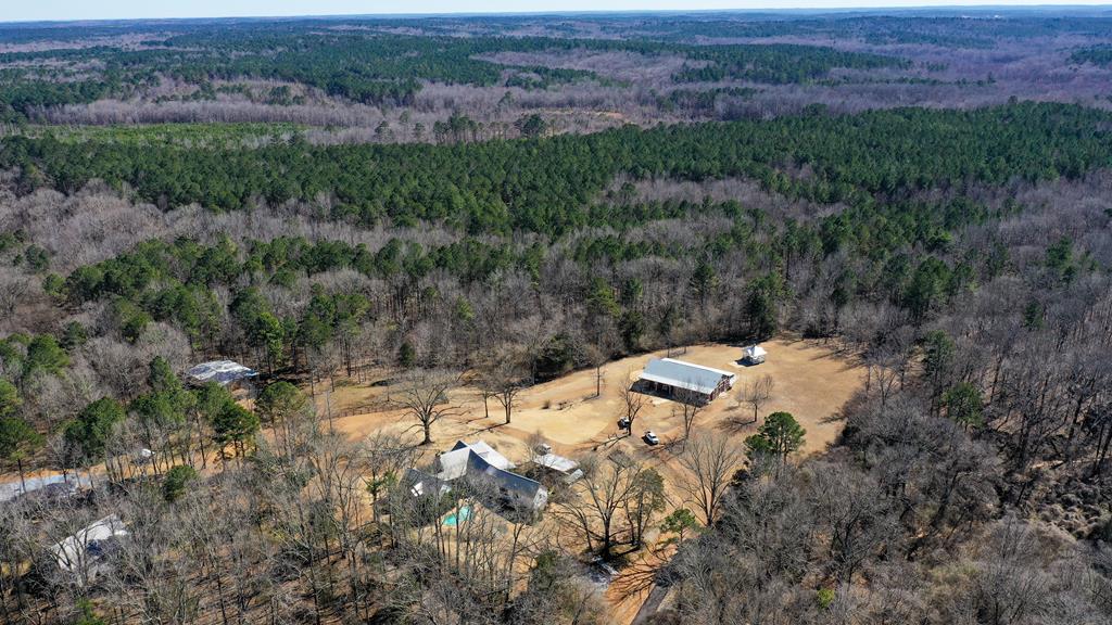 81 County Road 231