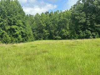 858 Hwy 331