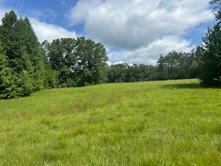 858 Hwy 331