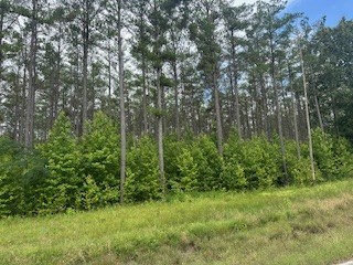 858 Hwy 331
