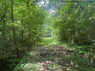 858 Hwy 331