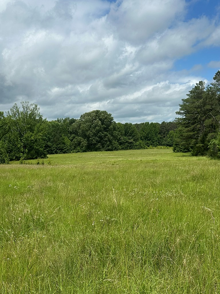 858 Hwy 331