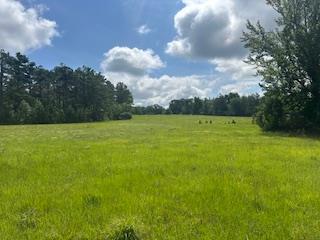 858 Hwy 331