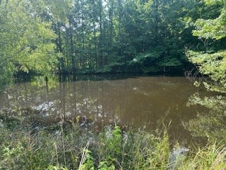 858 Hwy 331