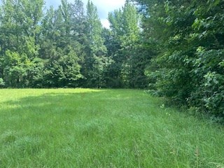 858 Hwy 331