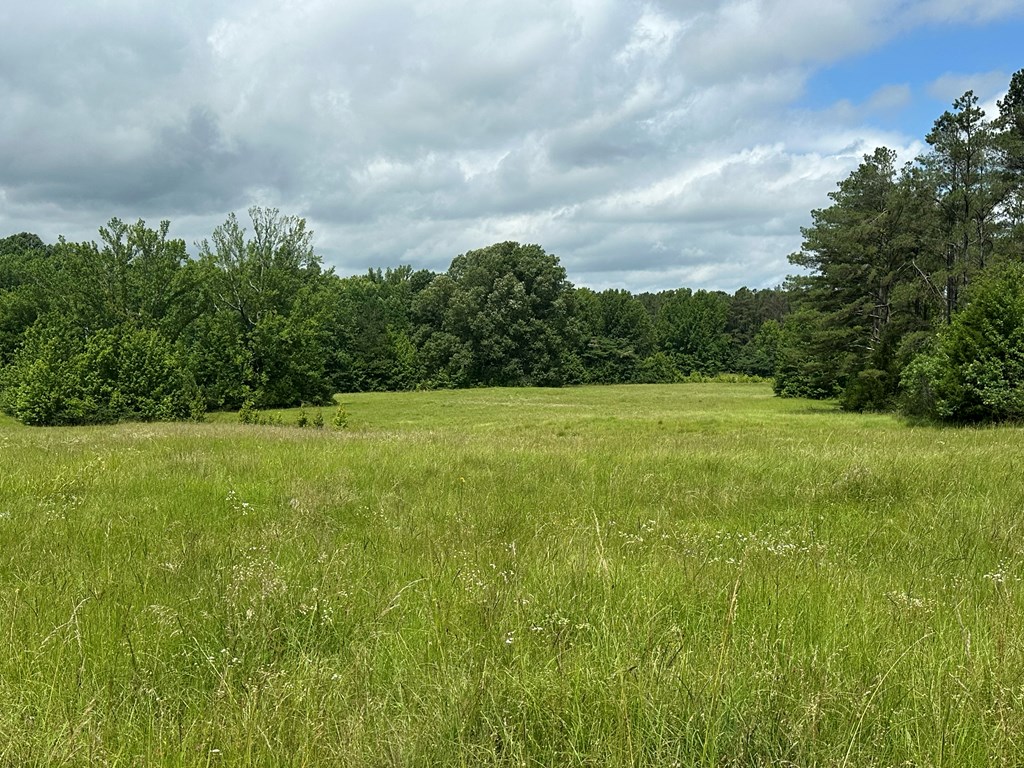 858 Hwy 331