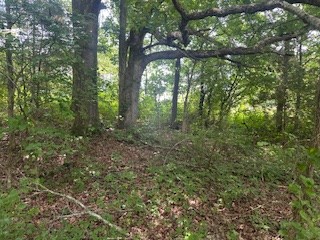 858 Hwy 331