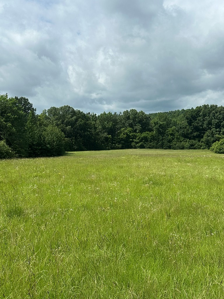 858 Hwy 331
