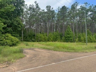 858 Hwy 331