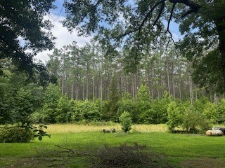 858 Hwy 331