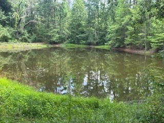 858 Hwy 331